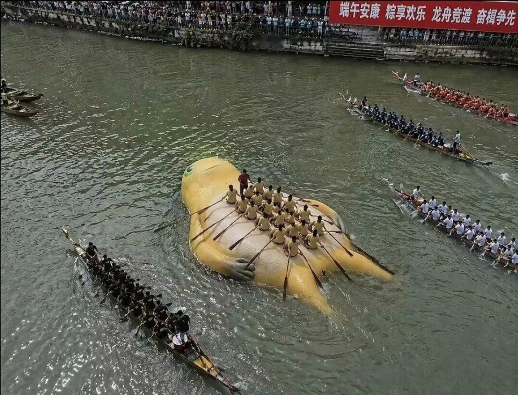 这奶龙舟笑死我了