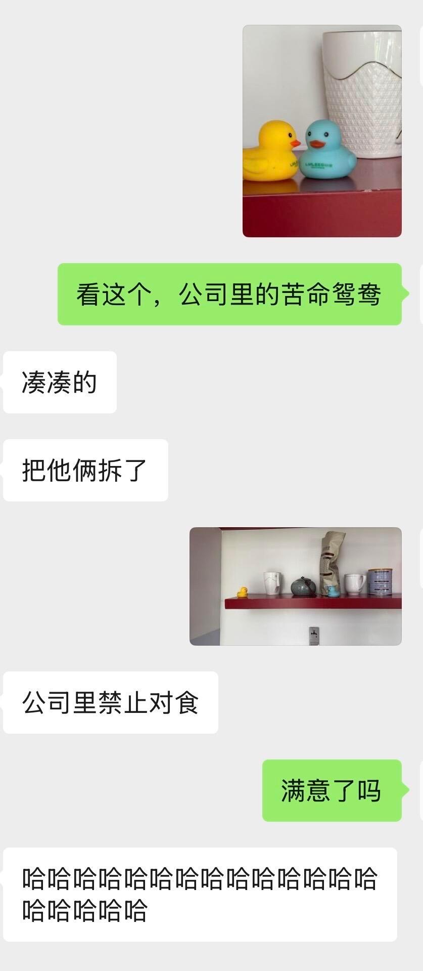 公司禁止对食哈哈哈哈哈哈 ​​​