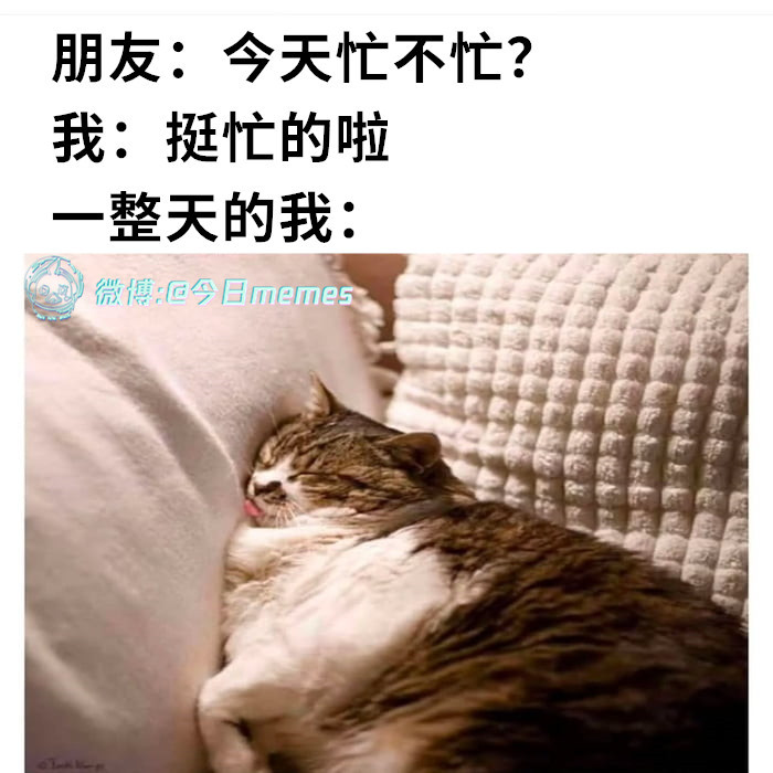 内耗能（9gag）今日meme[超话] 今日memes ​​​