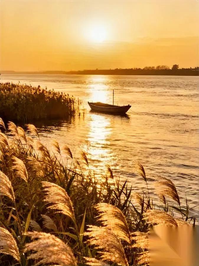 赚钱养家，循环何时停？

一代代人像陀螺转不停

打工赚钱，真的是生活全部？
