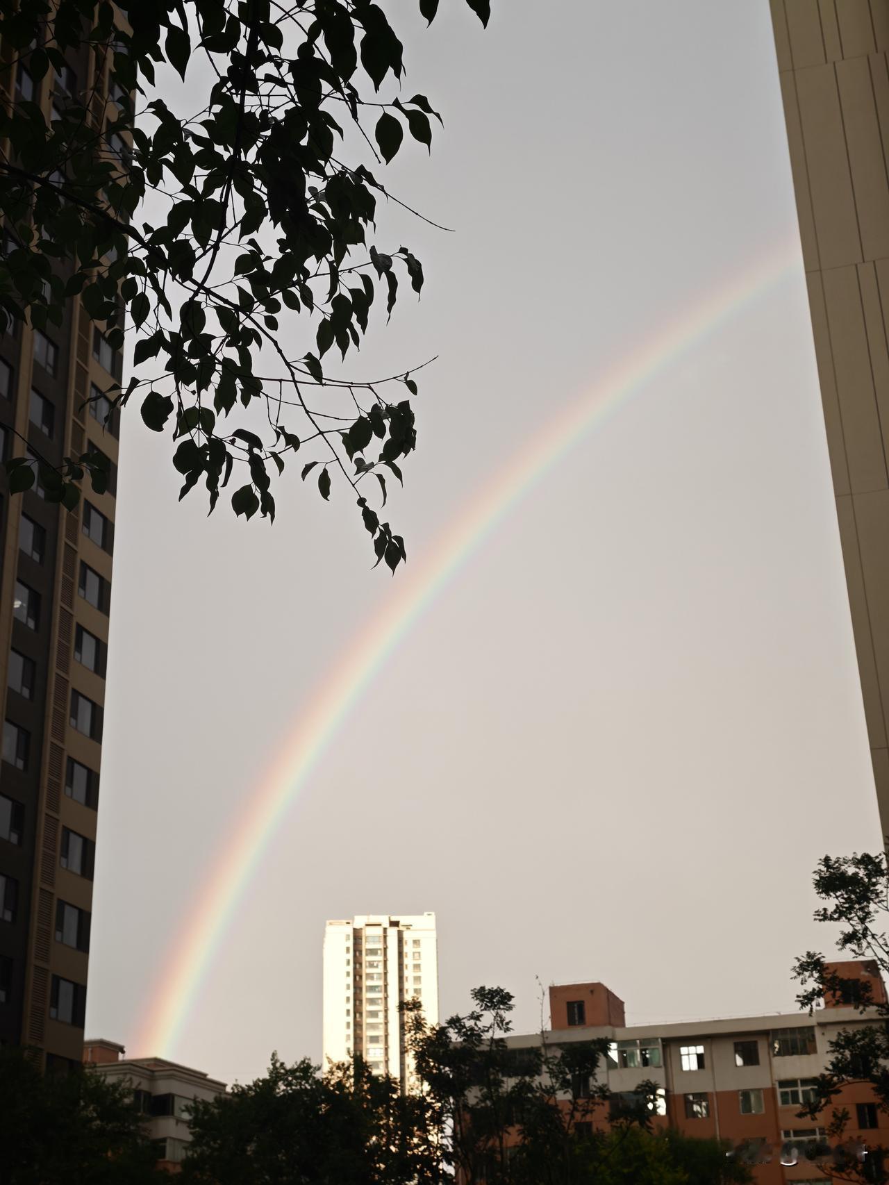 兰州的雨后彩虹

        昨晚7时40分，兰州间歇下了一阵小雨。之后，仰