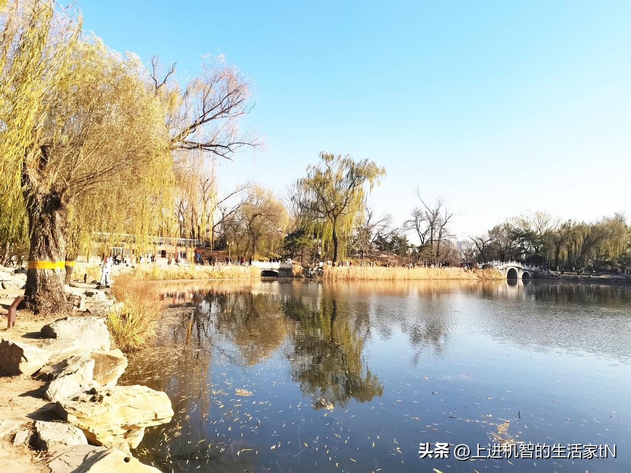 秋末冬初，一组圆明园美景！