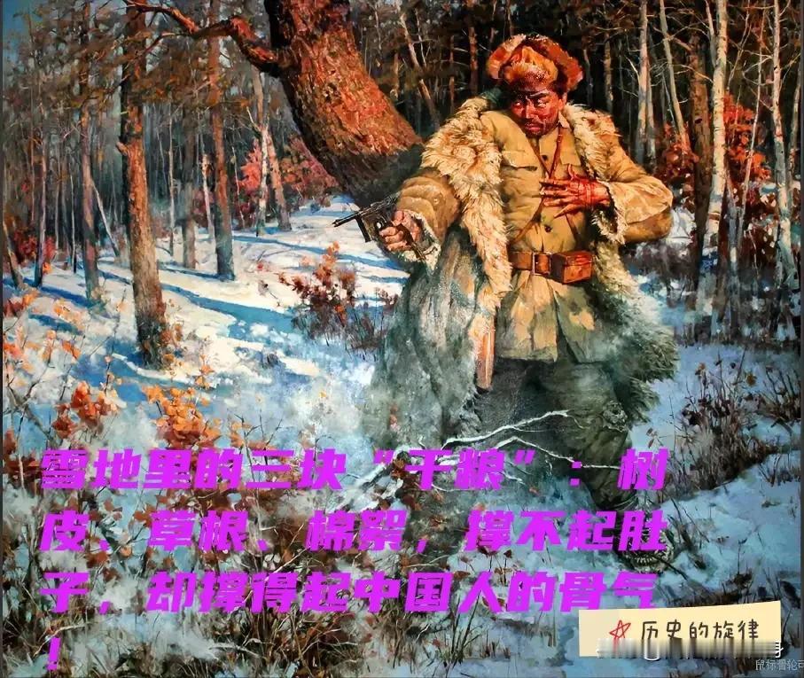 你以为杨靖宇只是弹尽粮绝才牺牲？其实不是。翻日军解密的档案就知道，他最后那段日子