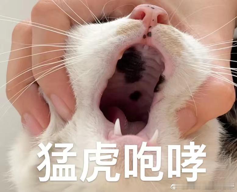 #一句话科普# 尼古丁会刺激口腔黏膜的黑色素细胞，所以常年吸烟的人，口腔内可能出