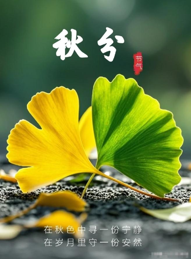 明天是秋分，今天也叫“离日”。
 
什么是离日？春分，秋分，夏至，冬至的前一天，