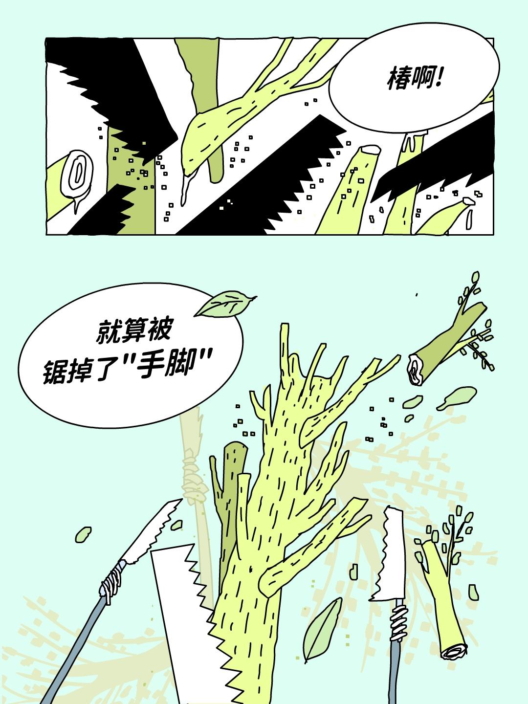 椿啊，请你大胆生长！！