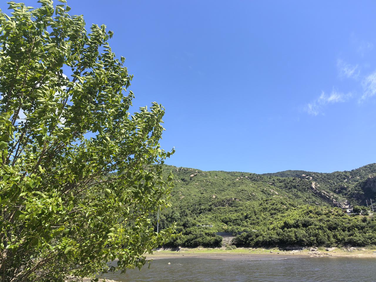 美伊又打起来了，特朗普昨天刚许愿两三天内与伊朗就会达成协议，结果今天就又打起来了