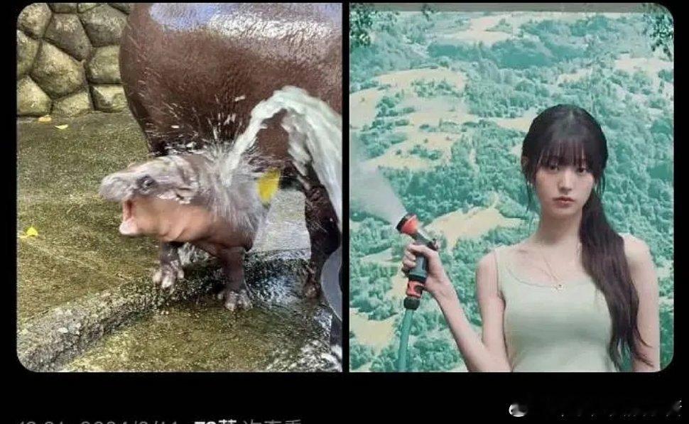 张元英姐姐还是太美了，让全网都开始嫉妒了 ​​​