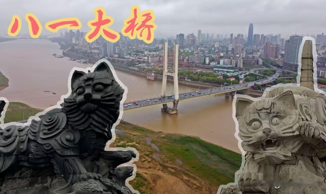 八一大桥的黑白猫，戳中大众的精神共鸣
 
南昌八一大桥的两只石雕猫，近期再掀全网
