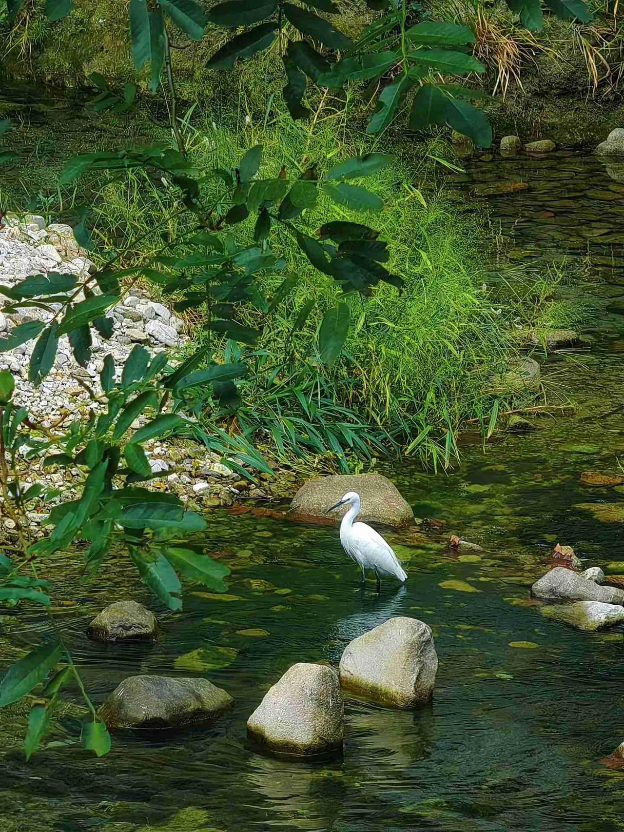 我的今日状态：💰期待暴富
我这里的天气：☀️晴天