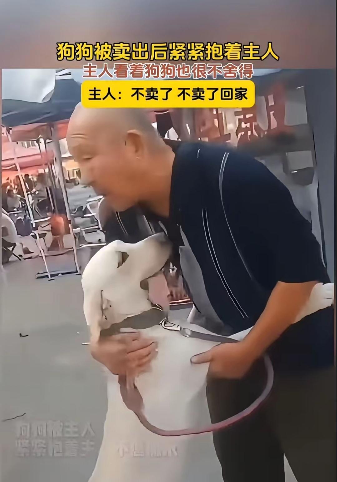 连科学都无法解释
关键时候狗比人还重感情!
一位大哥因为菜市场搬迁没办法要搬家，