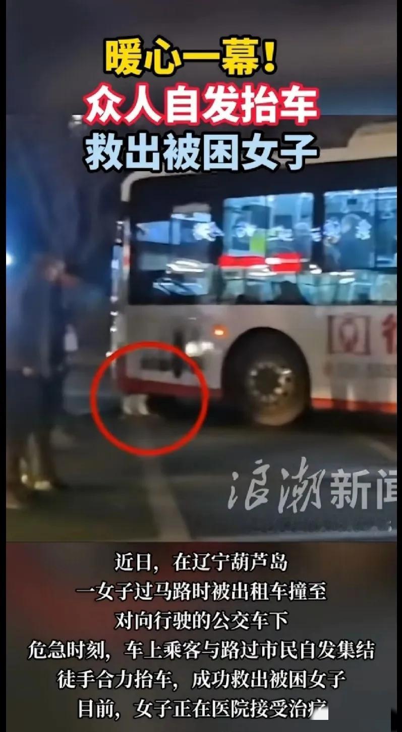 辽宁葫芦岛发生的一幕，感动了无数人！


 2023年10月，辽宁葫芦岛街头上发