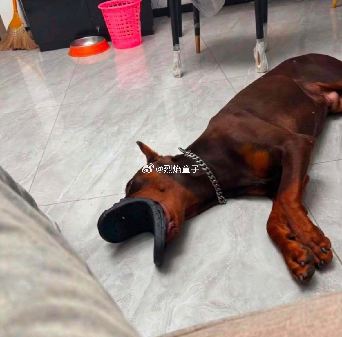 网友说花了半个小时到处找他的另一只拖鞋[允悲][允悲]感觉拖鞋就像凭空消失了一样