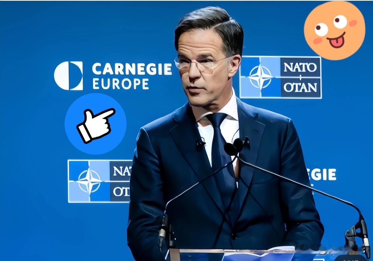 快报！快报！
荷兰政府正式宣布
封锁必将导致全球产业链的断裂，科技进步只有开放合