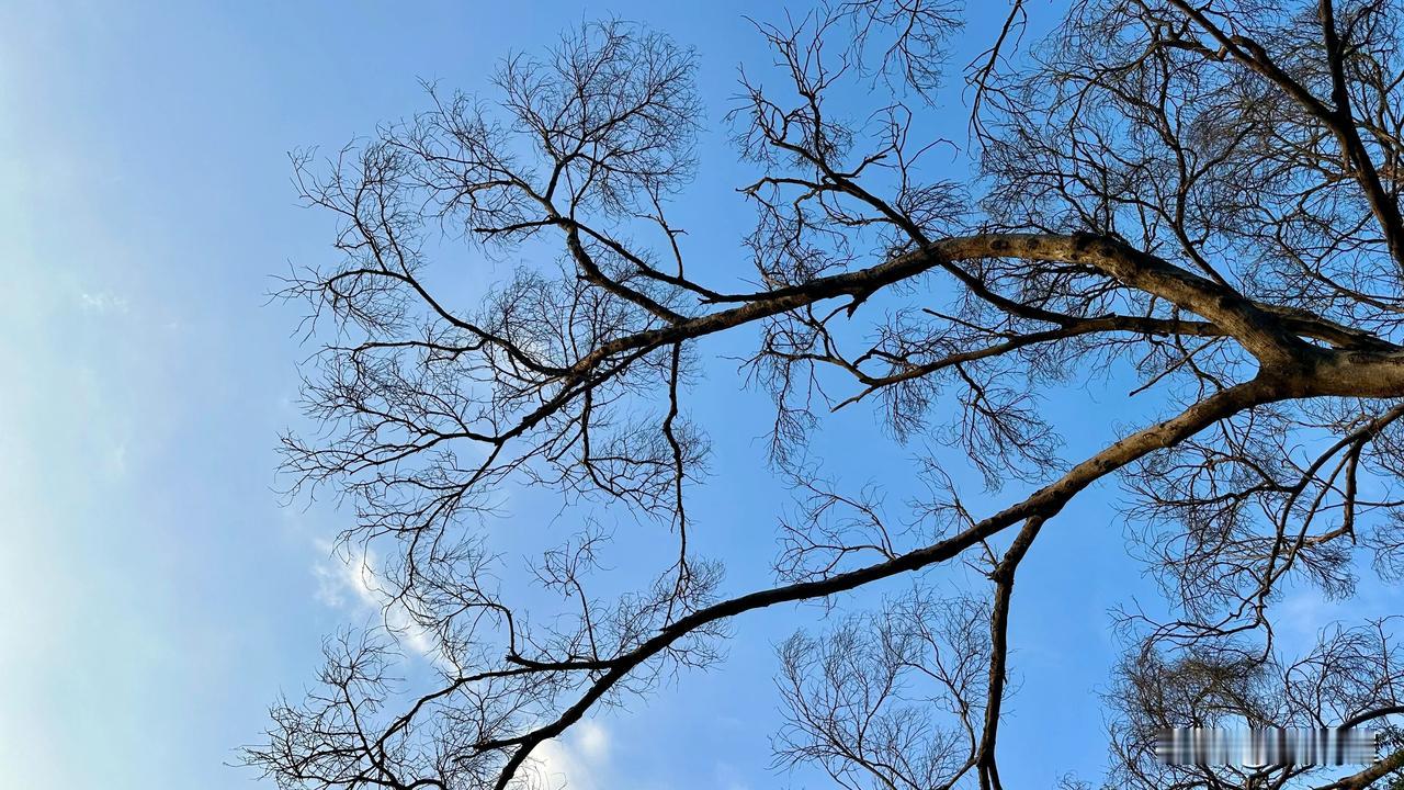 很多偏北一点的地方都差不多要穿棉衣了，咱这里还是31度。今天虽然太阳不大，早上起