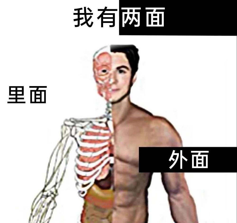 meme一下：还是个双面派！
meme图 meme memes meme梗图 梗