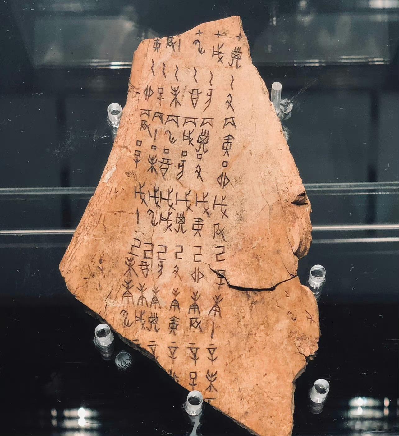 汉字里的博物馆（3）——十二地支  十二地支：子、丑、寅、卯、辰、巳、午、未、申