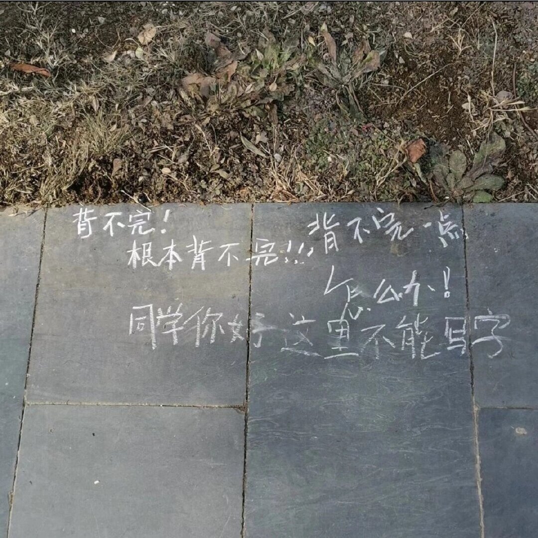 起因是一位期末崩溃的医学上写了一句背不完路过的大家纷纷把痛苦留在石板上有被打动到