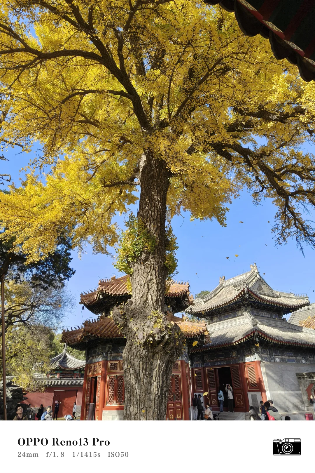 就用这10张live来结束这个秋天吧！🍂