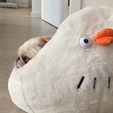 小蘑菇爱玩游戏