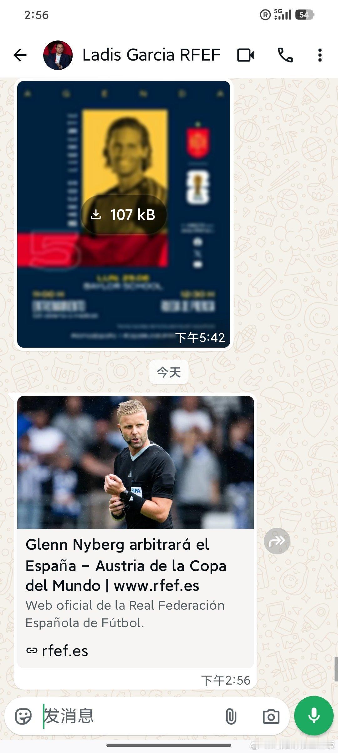 世界杯 雅利安面相利好奥地利 