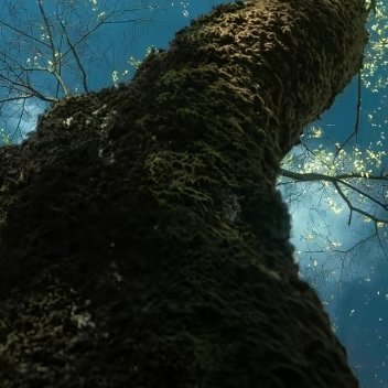 每日一善 阳光信用每日一善 术正而心顺之，则形相虽恶而心术善，无害为君子也;无害