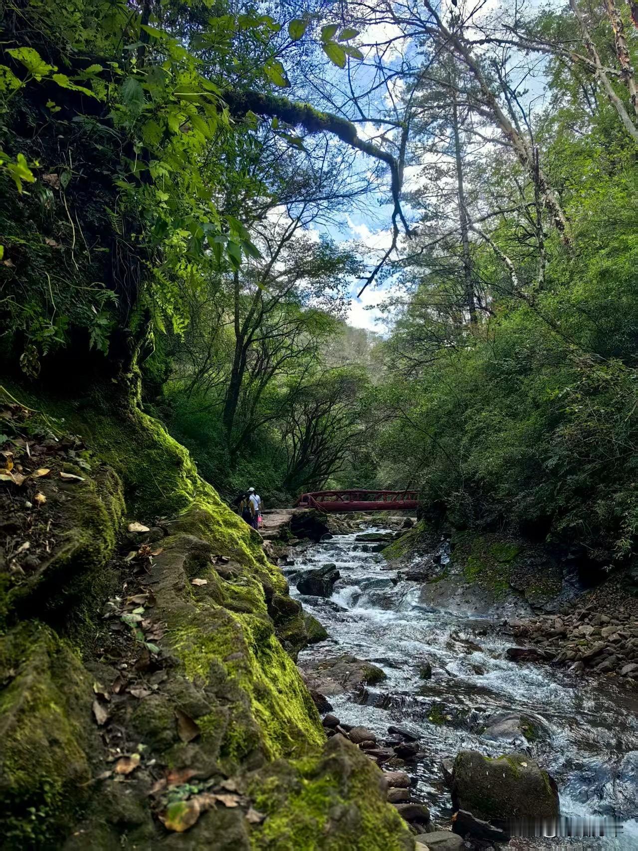分享我这周有趣的事：六盘山的秋，是从毛泽东的词里走出来的。晨起自兰州出发时，天还