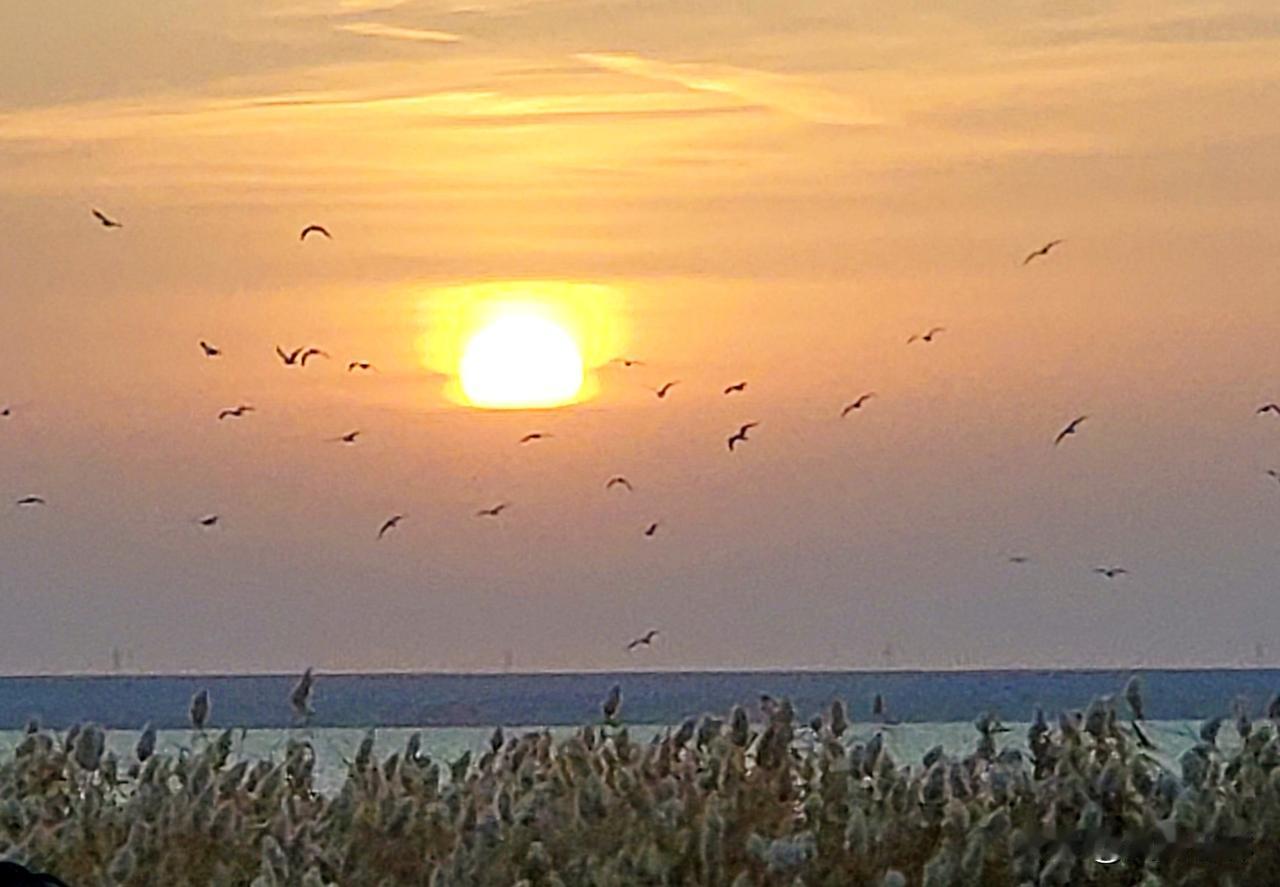 母亲今年八十岁，四十五年糖尿病史，每日需注射胰岛素控制血糖。三年前经历两次癌症手