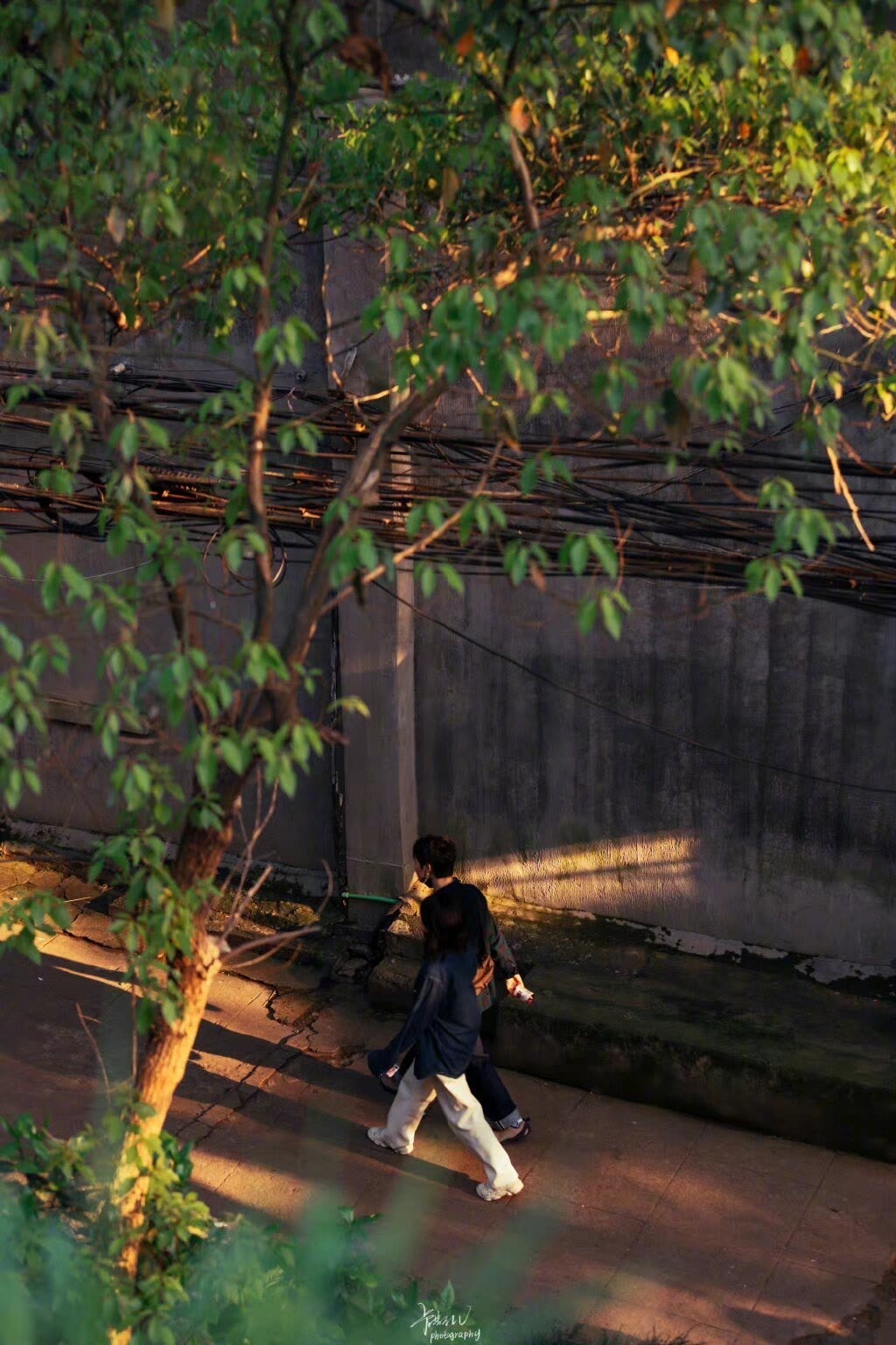 我认为还是让画眉“自觉自愿”地学习，不要灌输，甚至强迫。我担心画眉忙着学这些声音