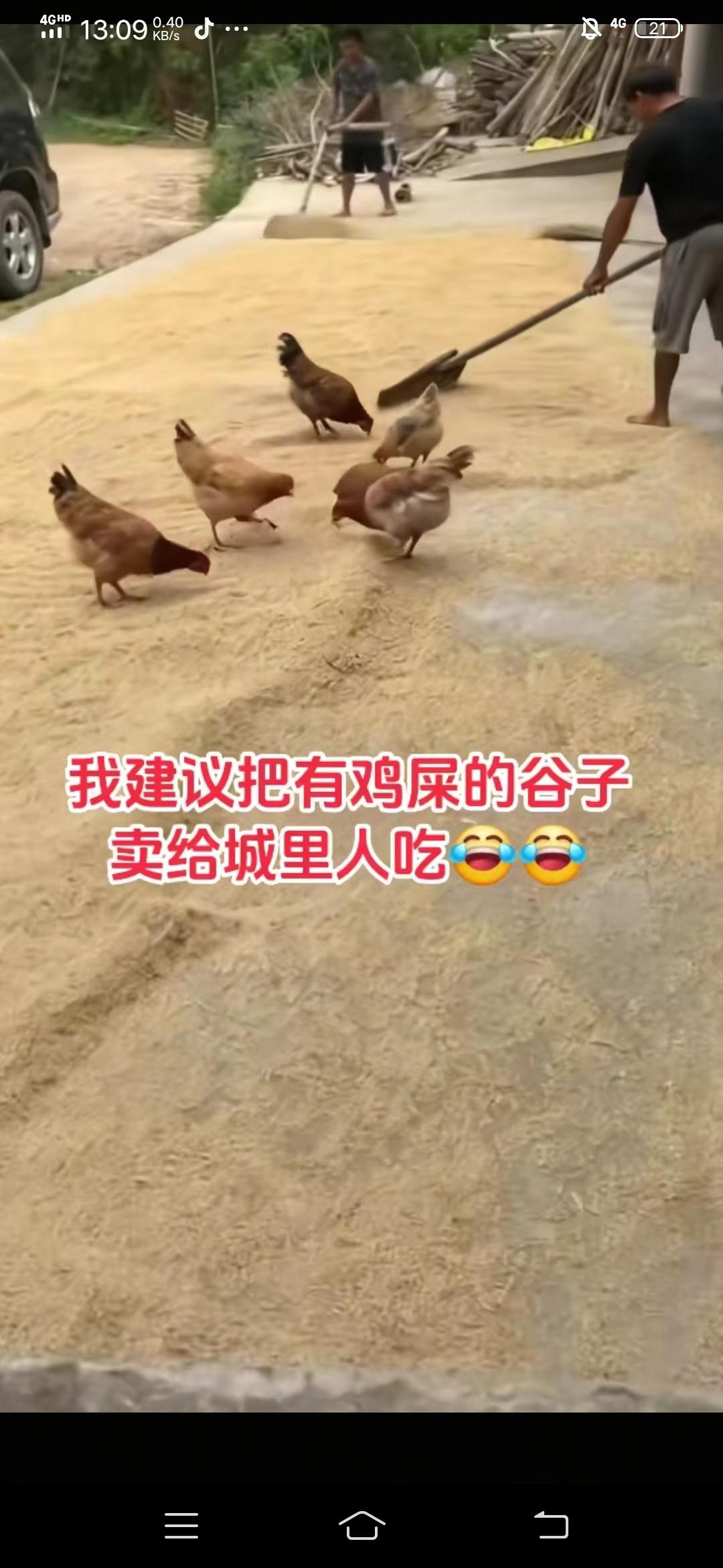 这张图片上讲“我建议把有鸡屎的谷子卖给城里人吃”。
城里人谁吃谷子？城里人和乡下