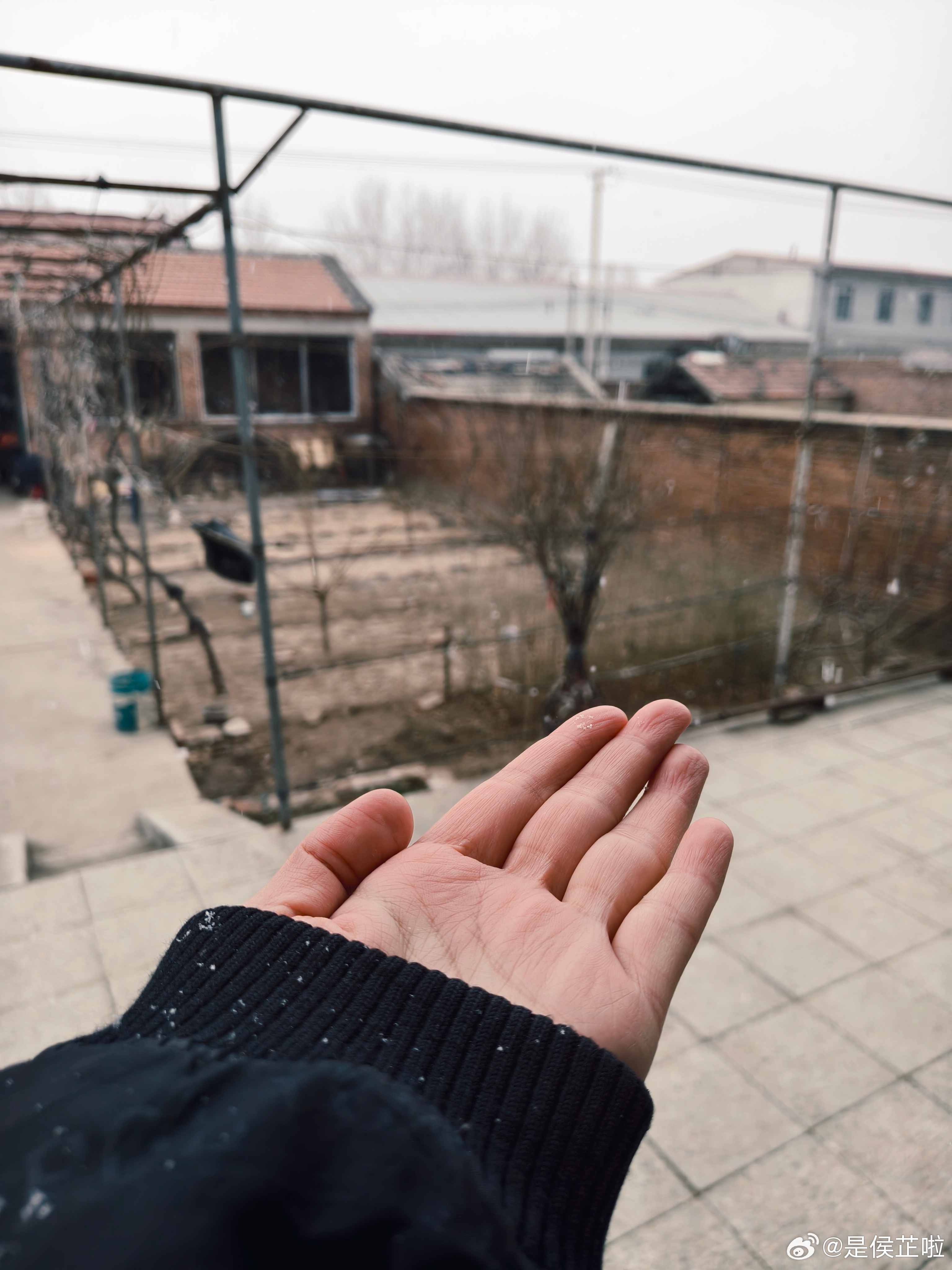 看到北京下雪了，立马出门看外边。果然，下雪啦 天津