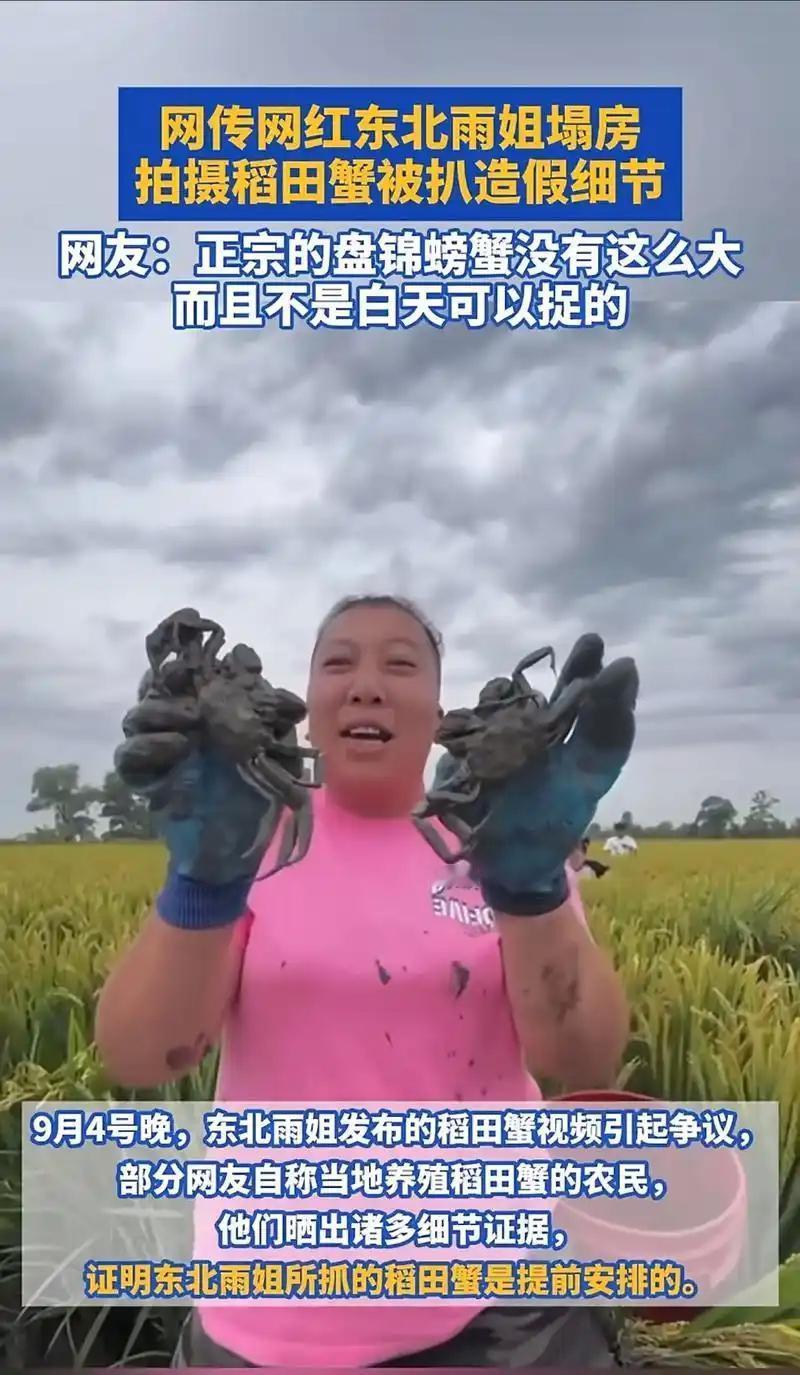 东北雨姐发博 东北雨姐实属生活不易？这你信？互联网是有记忆的，网友那你当家人，你