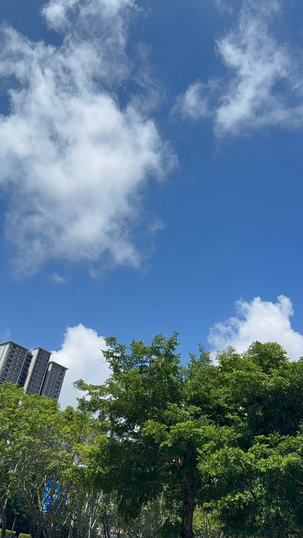 台风放假，台风缺席，等夜半雨声，晚安好梦