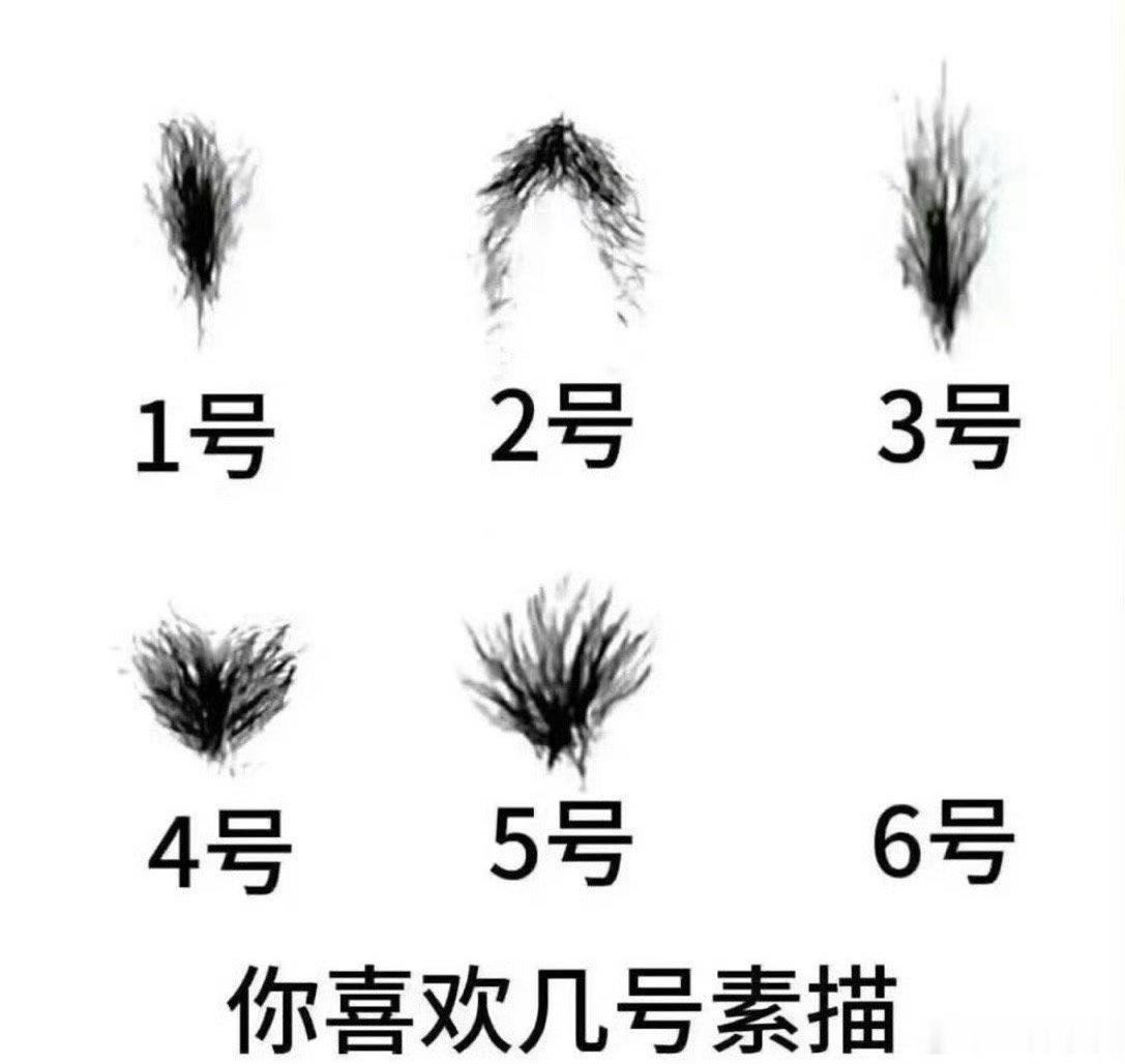 你喜欢几号/你是几号？ 