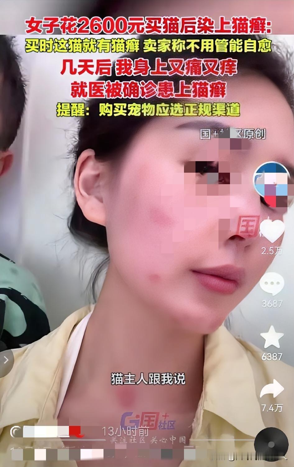 崩溃了！
    浙江嘉兴，女子有钱没地方花了，竟然花2600块钱买了一只猫当宠