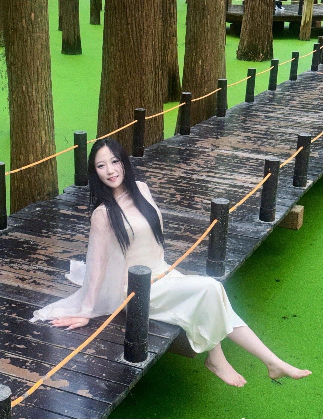 🌲｜抹茶森林 ​​​