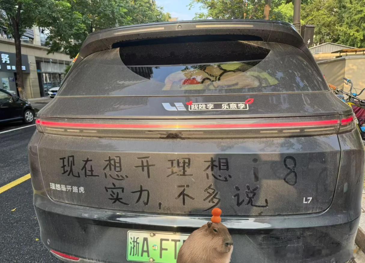 好家伙，这个车主理想有点多啊[允悲][允悲][允悲] ​​​