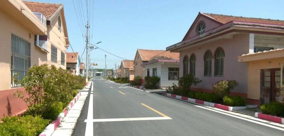 2026年胶州市胶莱街道（王珠新村、闸子新村、张跃屯新村）道路建设及排水沟改造项