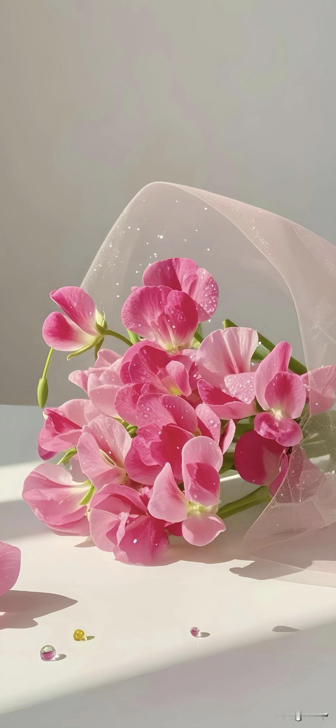 时间从不是薄情的过客，它最懂珍惜每一份默默的努力。有人在雨中为你撑伞，是藏在生活