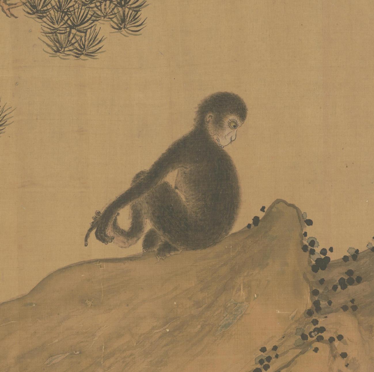 古画中的猴子：跨越千年的文化符号。在中国传统文化的璀璨星河中，猴子以其...