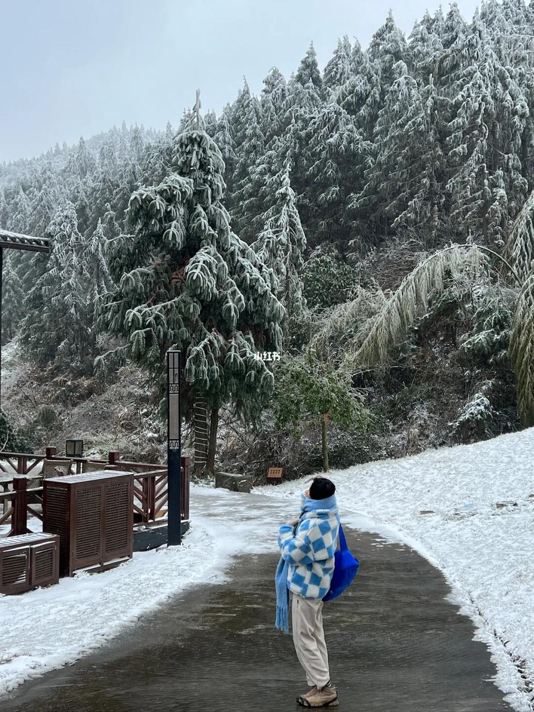不是哈尔滨去不起❄️而是广东看雪更有性价比