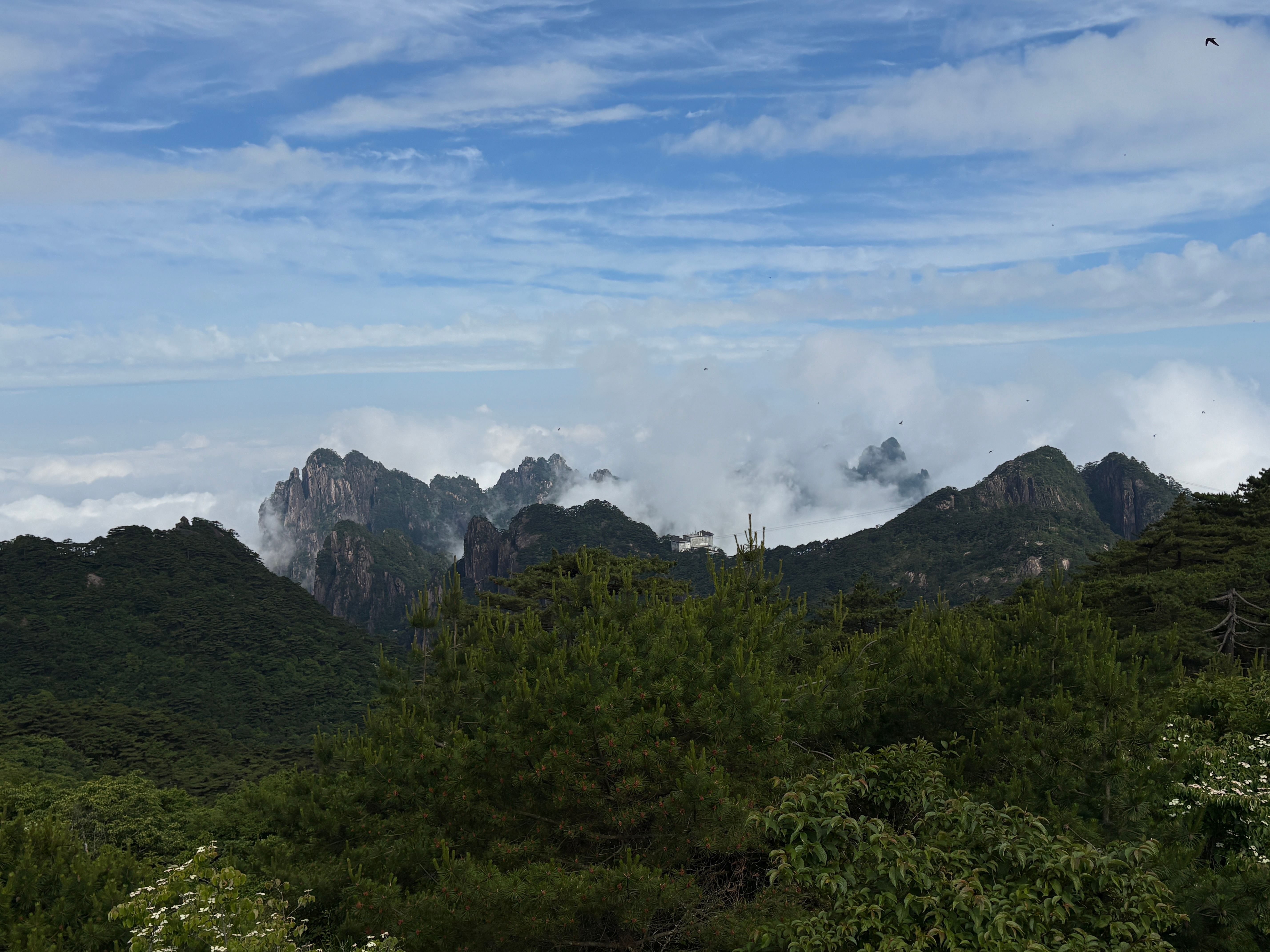 又是累晕的一天 黄山·黄山风景区-光明顶