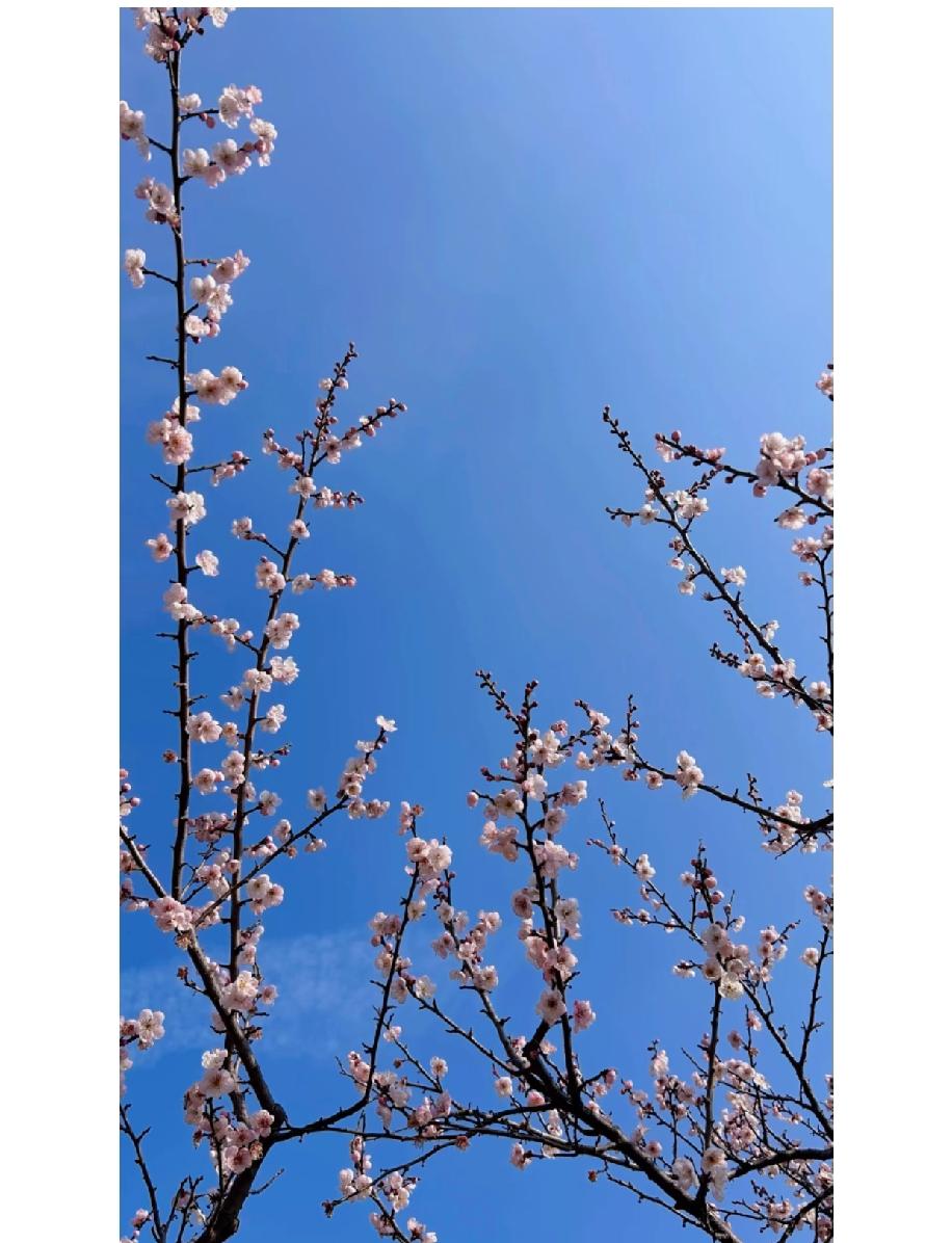 真的超疑惑，为啥相亲遇到的都是回头草？两年前、四年前相过的，还有好几年前的，甚至