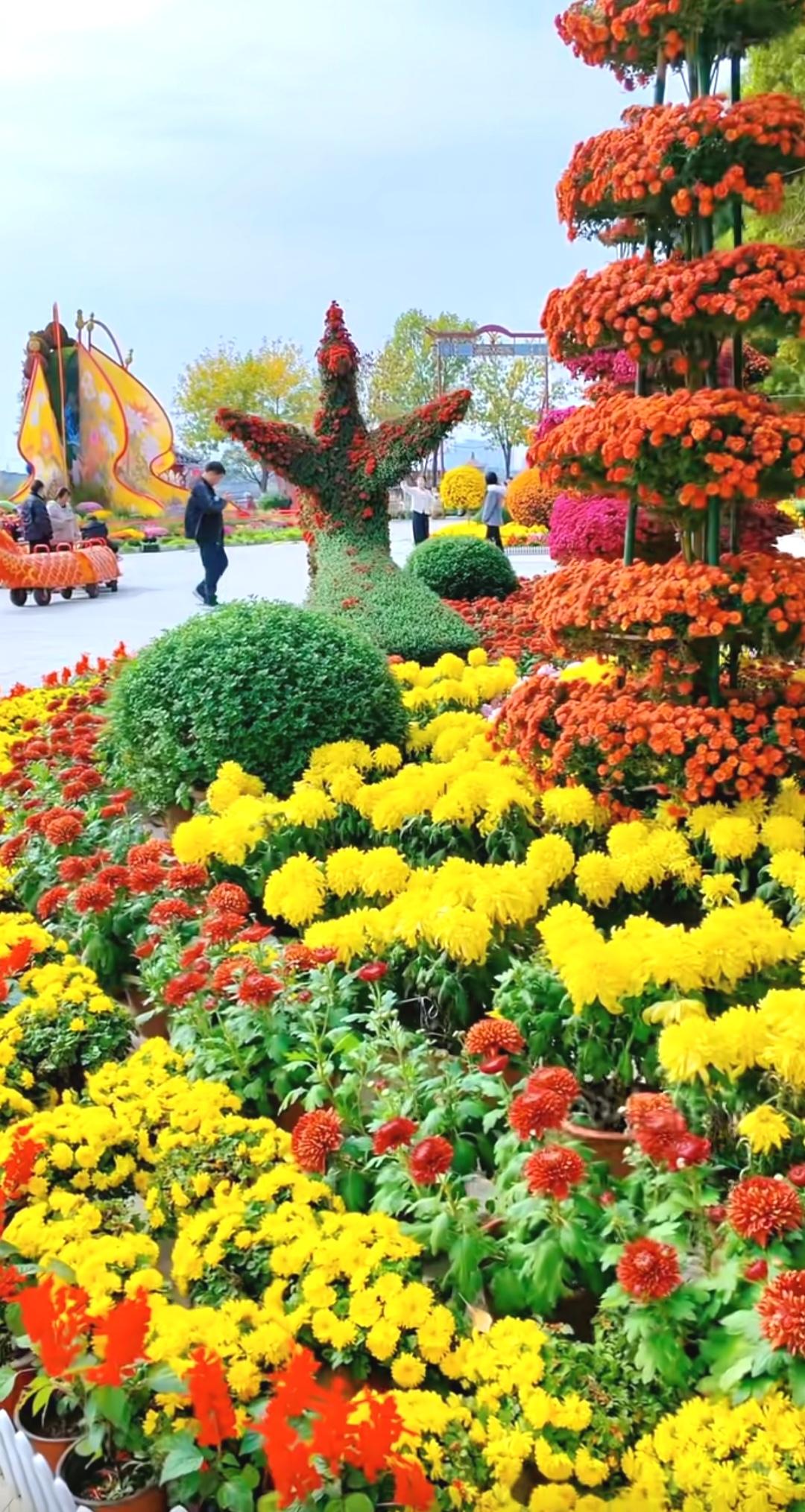 降压药是否会增加老年痴呆的风险？
降压药是否会增加老年痴呆风险，这事不能一锤定音