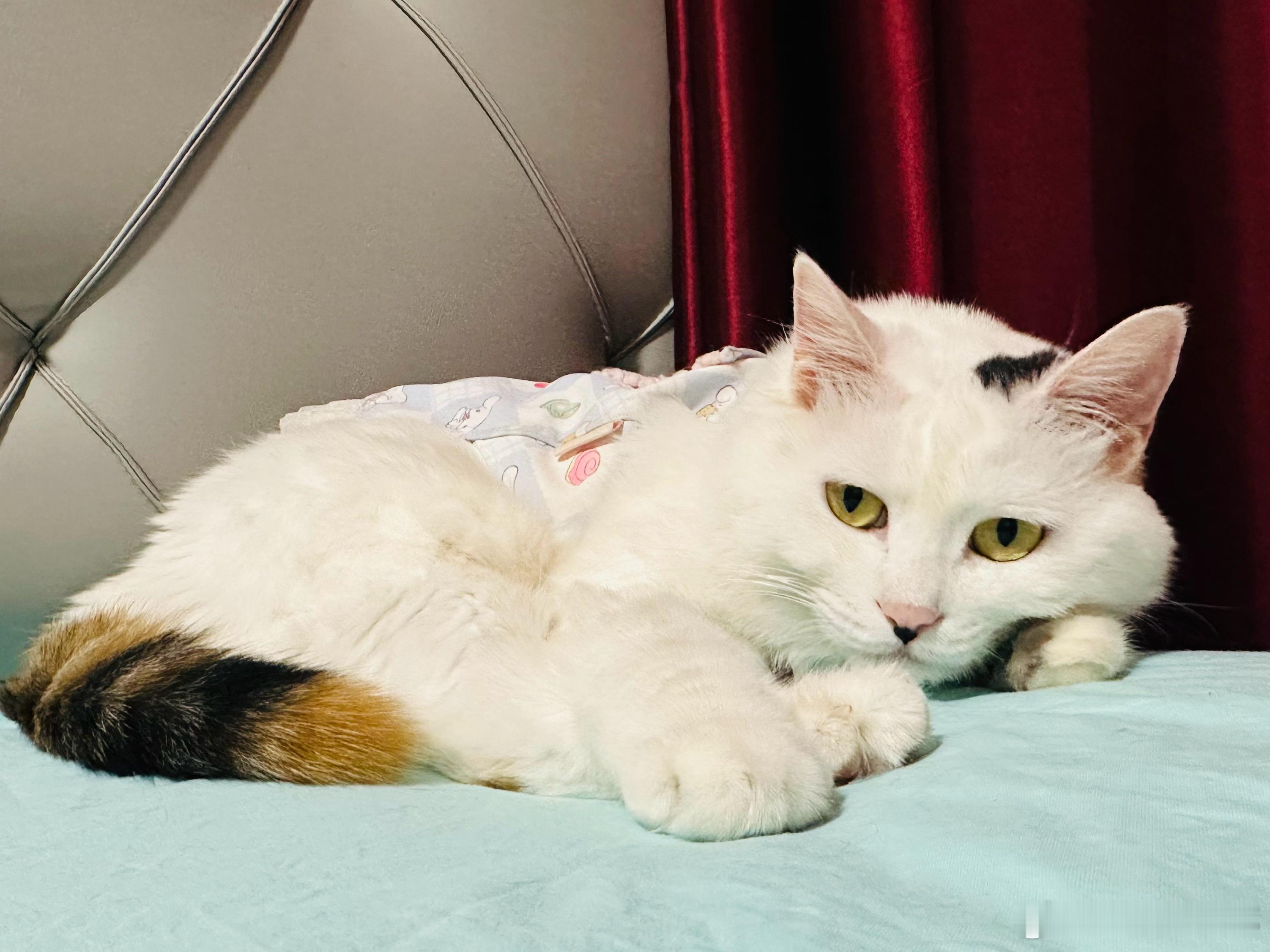 被人伤害而痛苦的人，抓住的不是痛苦本身，而是在道德上高人一等，这是一种隐形的权利