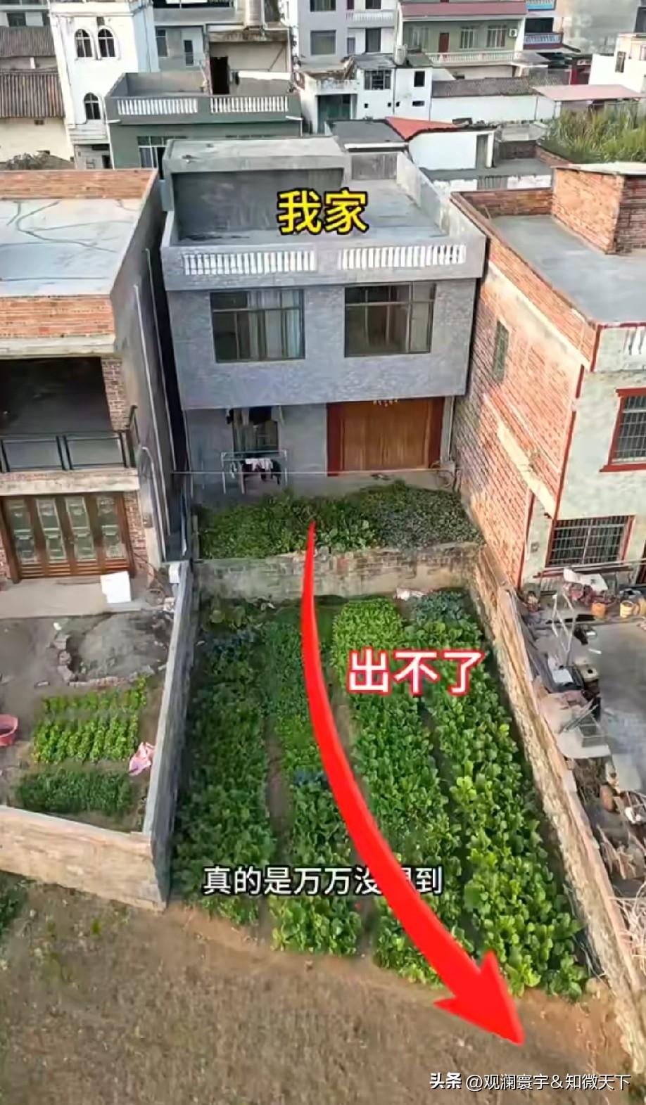 你的邻居太好了，你应该感谢他[偷笑][偷笑]