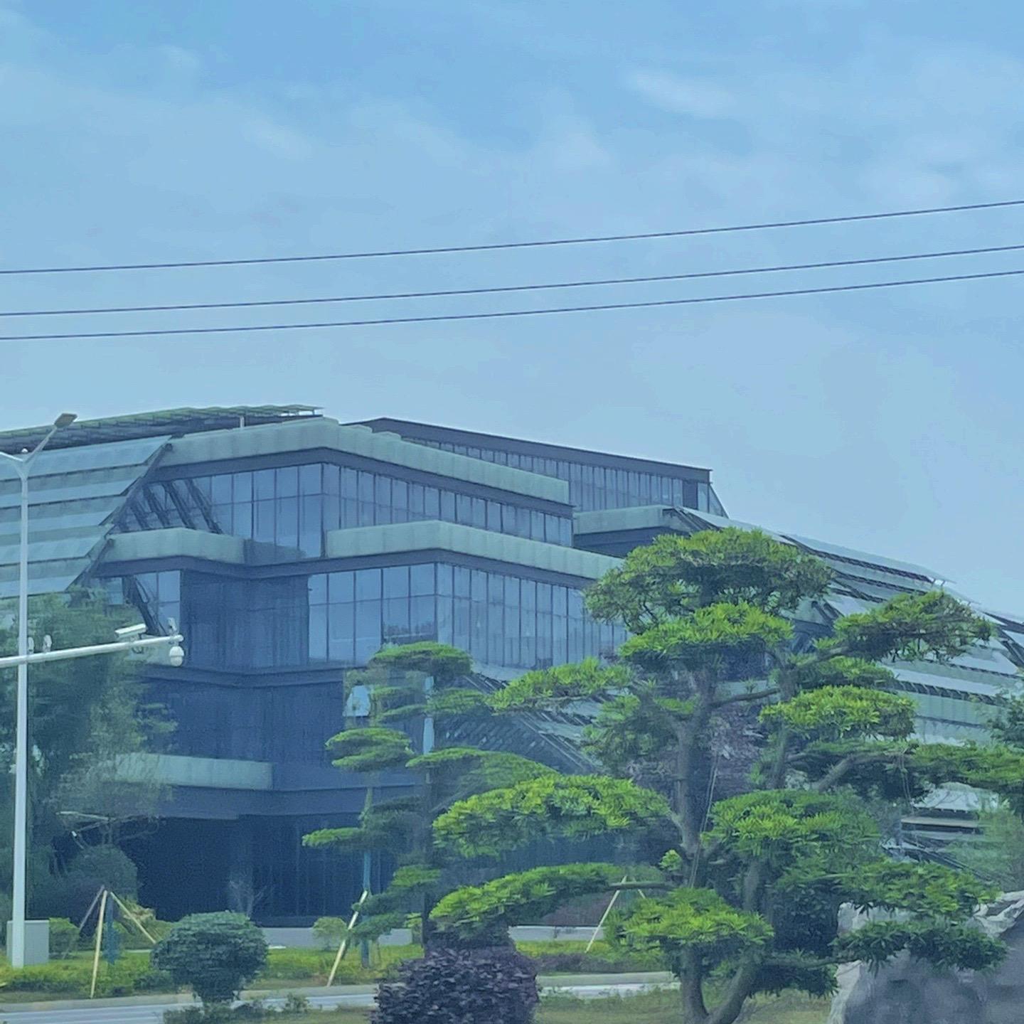 《请你记得我》by桃因。15岁高马尾的夏天，林呓语独自拉着行李箱去遥远...