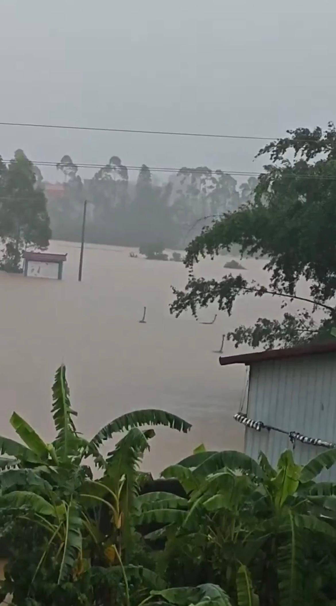 撒哈拉沙漠、阿拉伯海、亚马逊雨林，这三个听起来毫无交集，但撒哈拉沙漠在变绿洲，原
