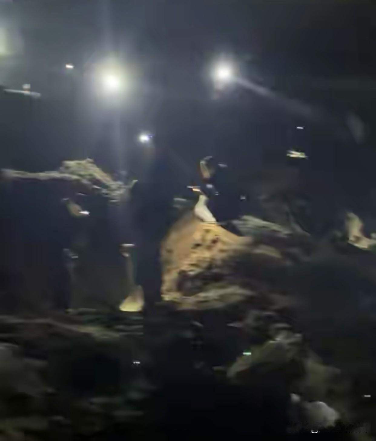 上海有多名群众挖出银元，
从现场3个细节来看，
这事还真可能不是骗局，
1、从现