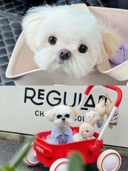 天真无邪vs冷酷无情